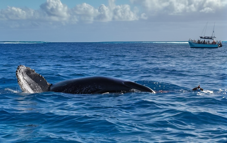 ** Humpback whale breaching in the crystal-clear waters of Tonga, sun shining, with a small boat of respectful whale watchers in the background. Focus on the whale's power and majesty.

**