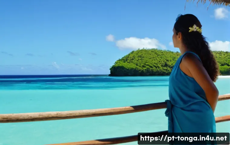 Tonga: Cartão de Crédito Funciona? Descubra os Segredos para Pagar Sem Surpresas! 4 통가에서 신용카드 사용 관련 이미지 2