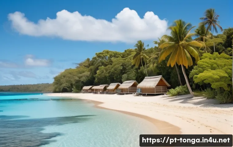 통가 해변에서 주의할 점 - A serene beach scene in Tonga during the dry season, featuring crystal-clear turquoise waters with g...